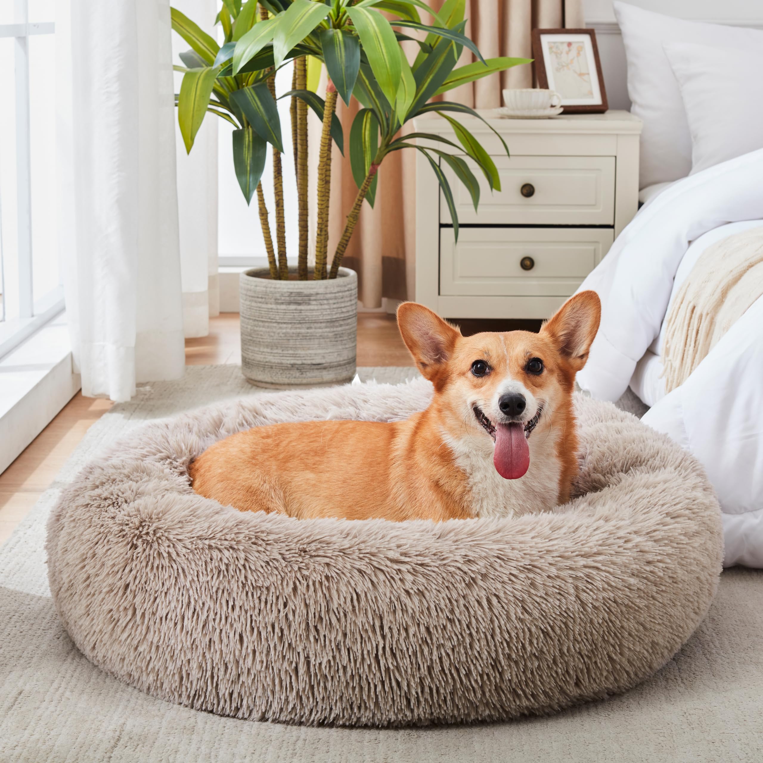Tres tamaños Western Home WH disponibles, para perros y gatos de diferentes pesos.