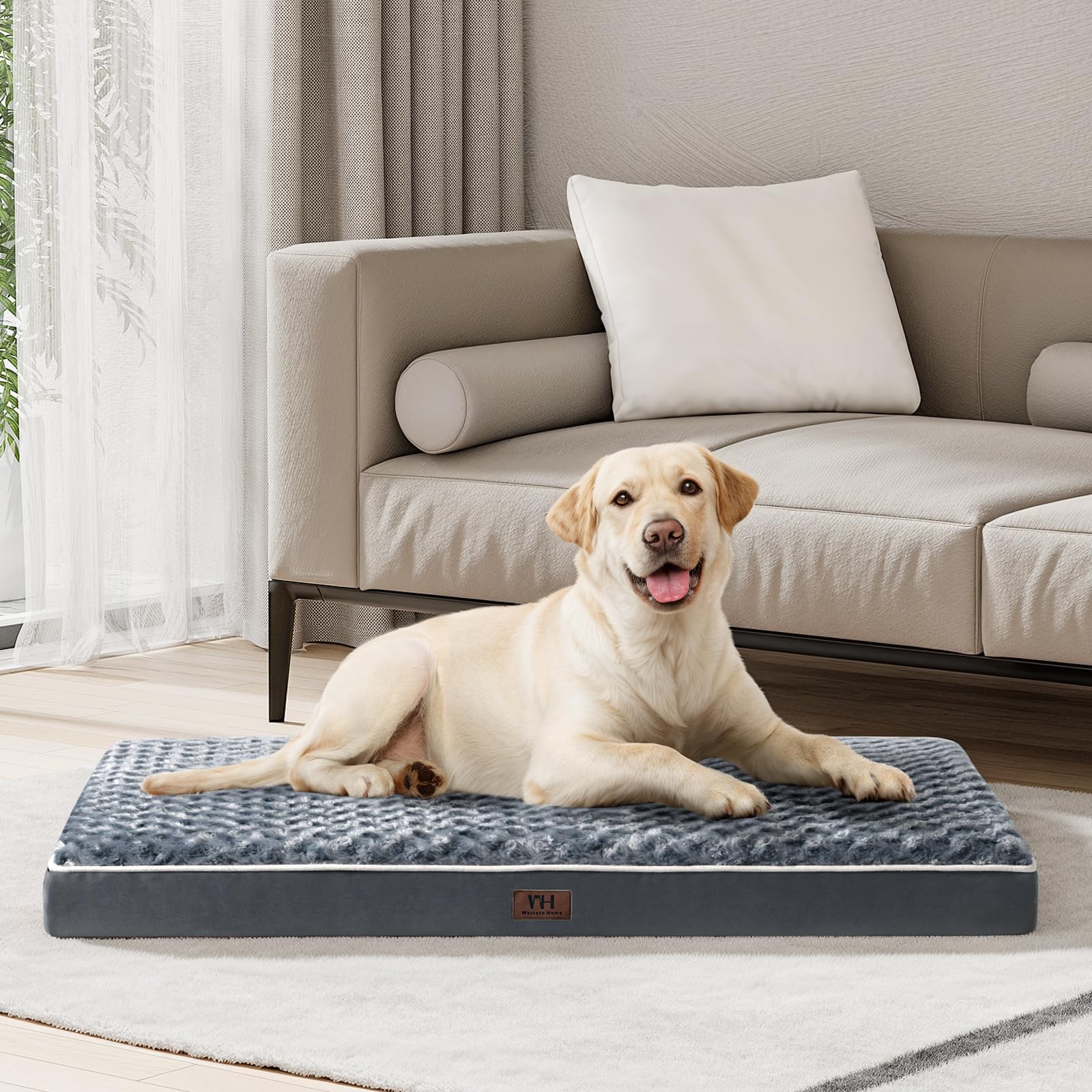Diseño duradero apto para perros que pesan hasta 40 kg.