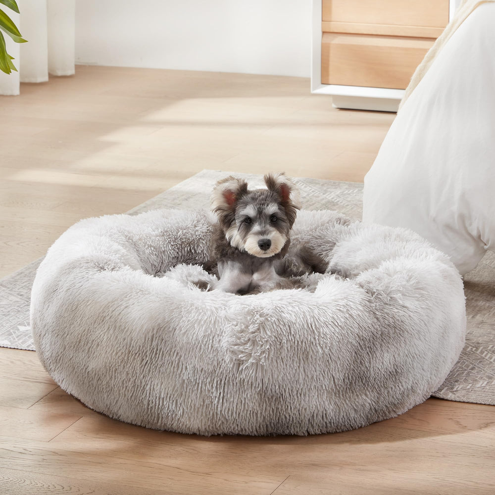 WESTERN HOME WH cama tejido felpado lujoso ofrece confort en cada siesta.
