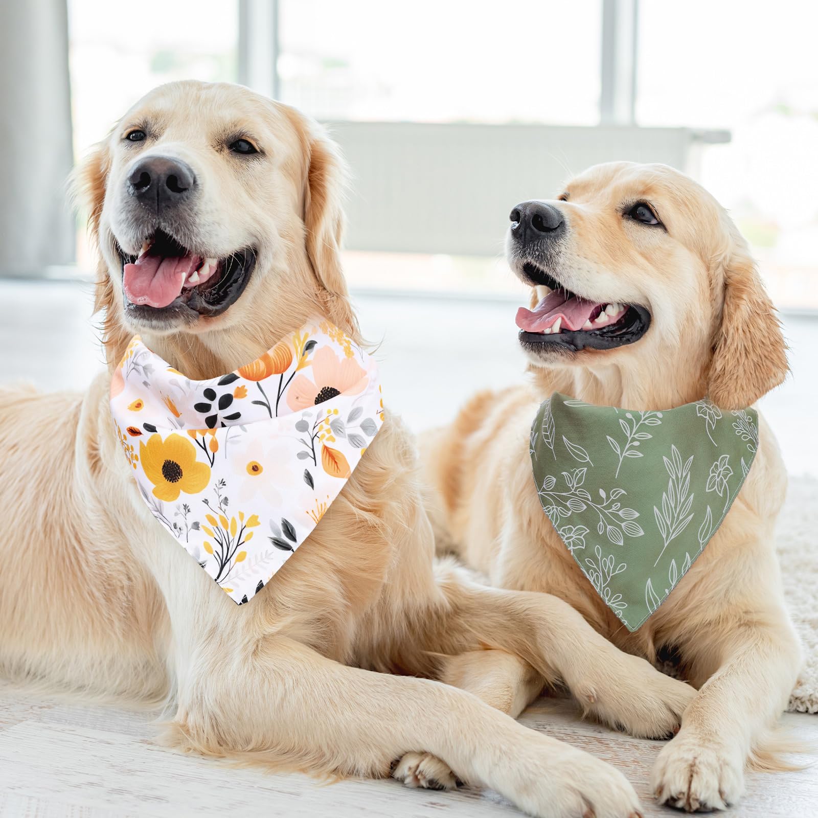 Whaline set de 4 piezas para perros y gatos, perfecto como conjunto