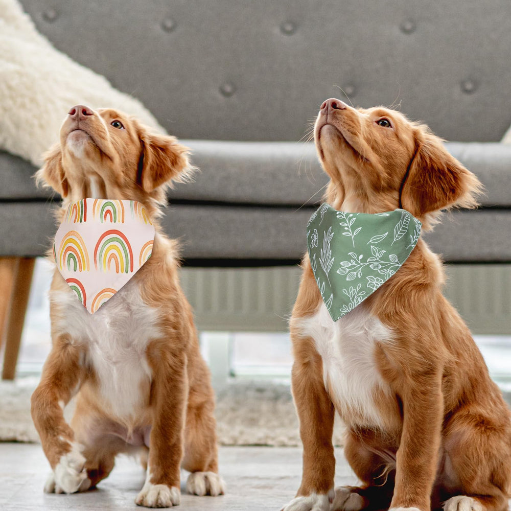 Whaline banda de medidas 27x13, adecuada para la mayoría de mascotas