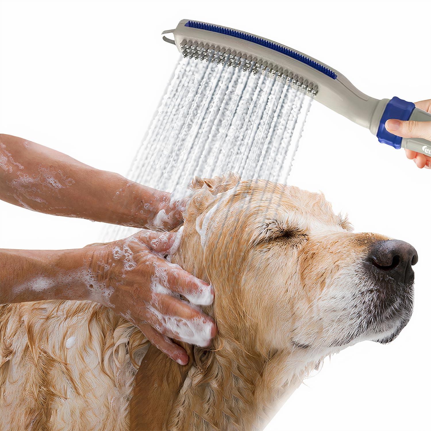WHALUNA ducha para perros con manguera de ocho pies, lista para baño cómodo y rápido.