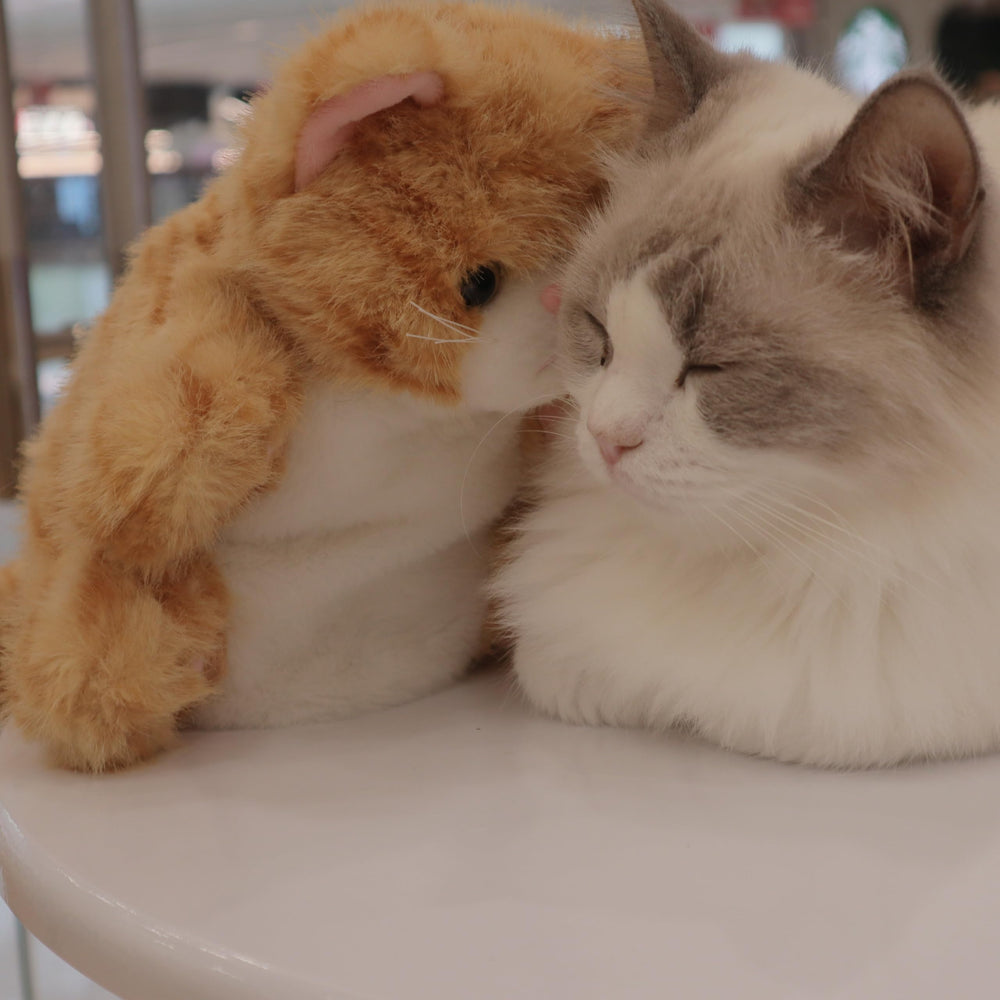 Peluche para siesta tras el juego con tu gato.