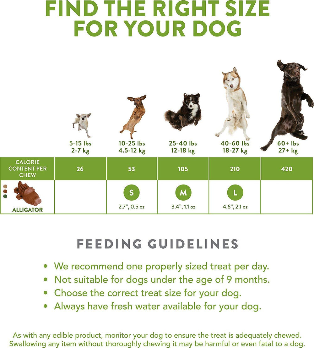 Whimzees Alligator dental chews para perros de 10 a 25 libras con sabor natural.