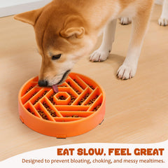 WHIPPY tazón de 3 tazas para perros medianos y grandes.