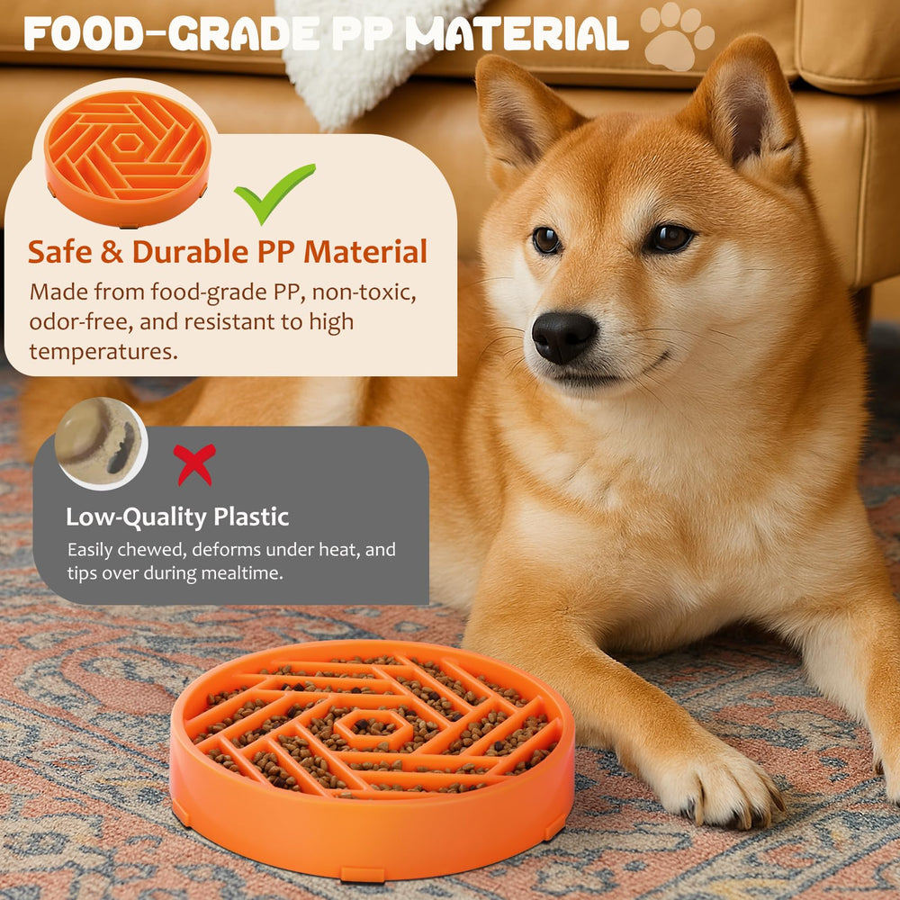 WHIPPY diseño laberinto para perro, interacción y juego.