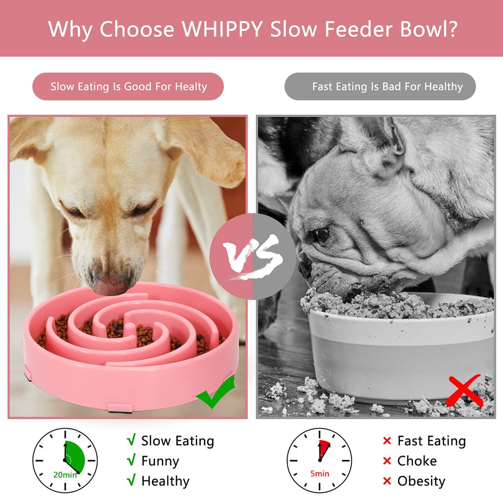 WHIPPY juego interactivo transforma la hora de comer en experiencia lúdica.