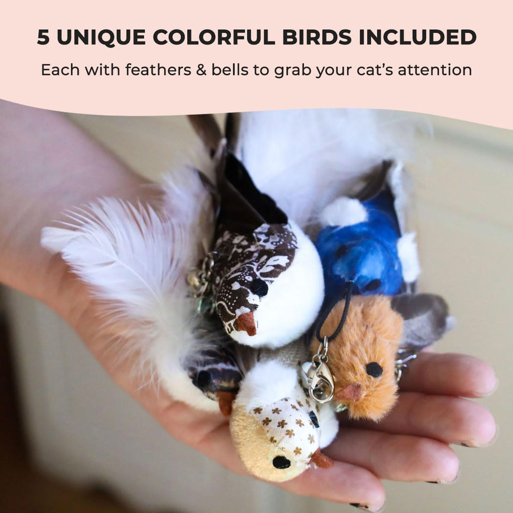 Conjunto de plumas y aves para sesiones prolongadas de juego