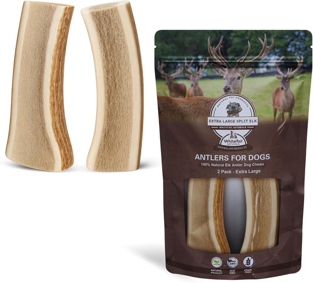 WhiteTail Naturals, astas de alce partidas XL para perros grandes, masticación duradera