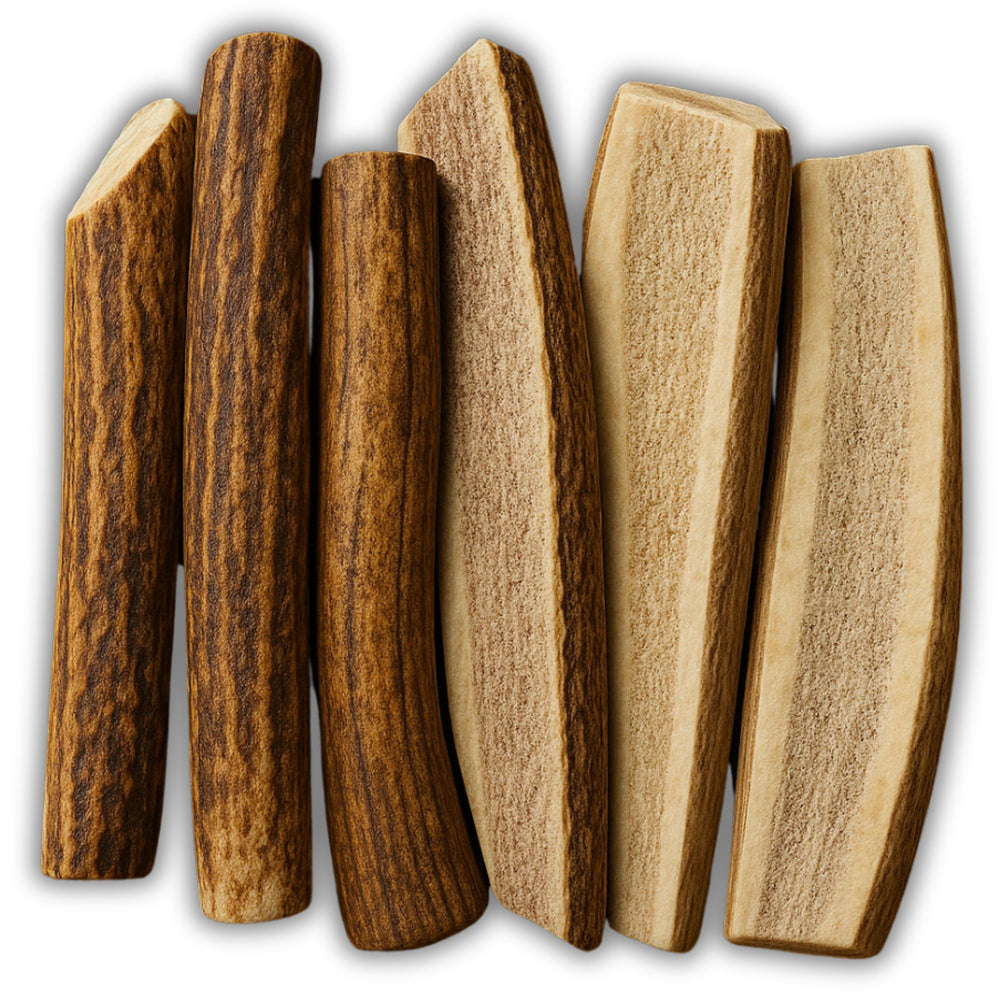 WhiteTail Naturals astas-alce-ciervo 6 unidades, masticación duradera para perros medianos