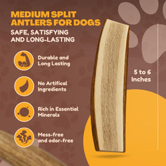 WhiteTail Naturals astas-alce-ciervo tuétano expuesto, sabor natural para perros