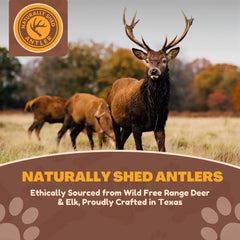 WhiteTail Naturals cuerno ciervo axis xl 2pack corte suave evita aristas.