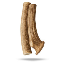 WhiteTail Naturals cuerno ciervo axis xl 2pack duradero para mordidas fuertes.