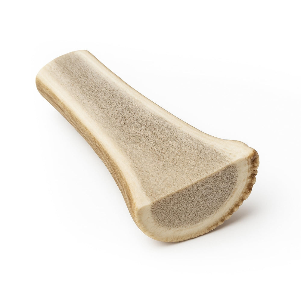 WhiteTail Naturals cuerno de alce dividido para perros grandes, masticación duradera.