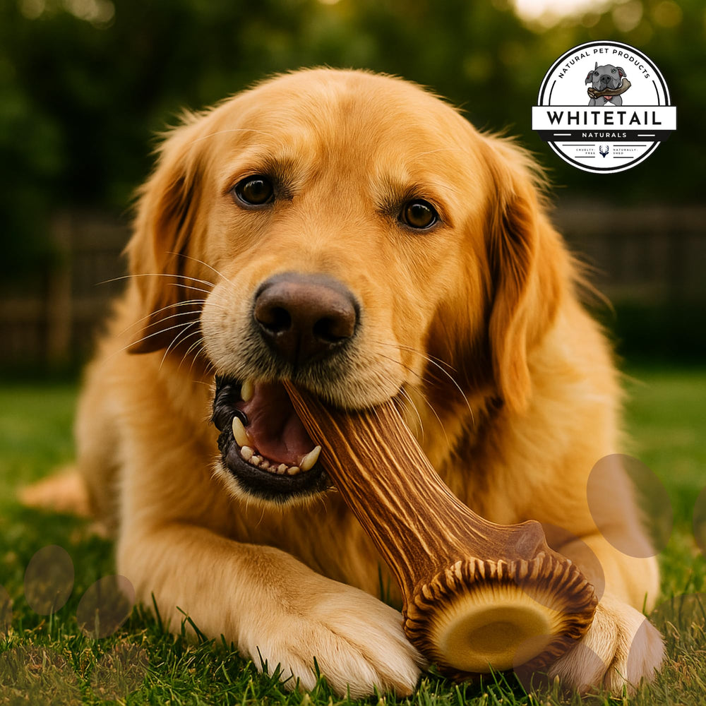 WhiteTail Naturals Cuidado dental natural para perros grandes