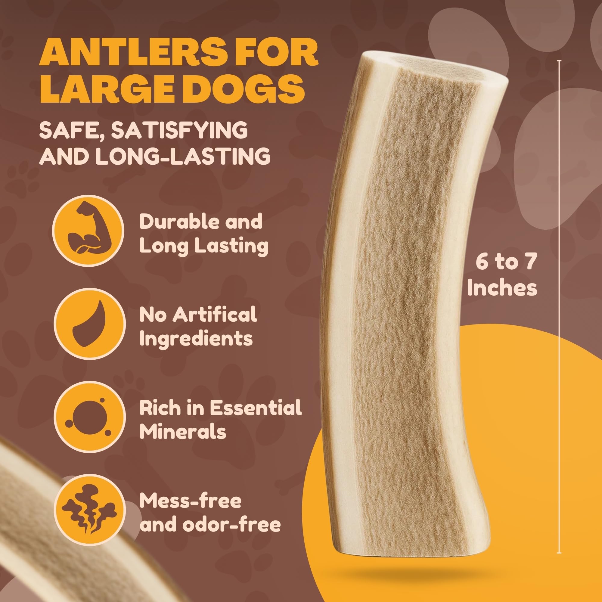 WhiteTail Naturals: durabilidad masticable ciervo, ideal para sesiones de juego y curación dental.