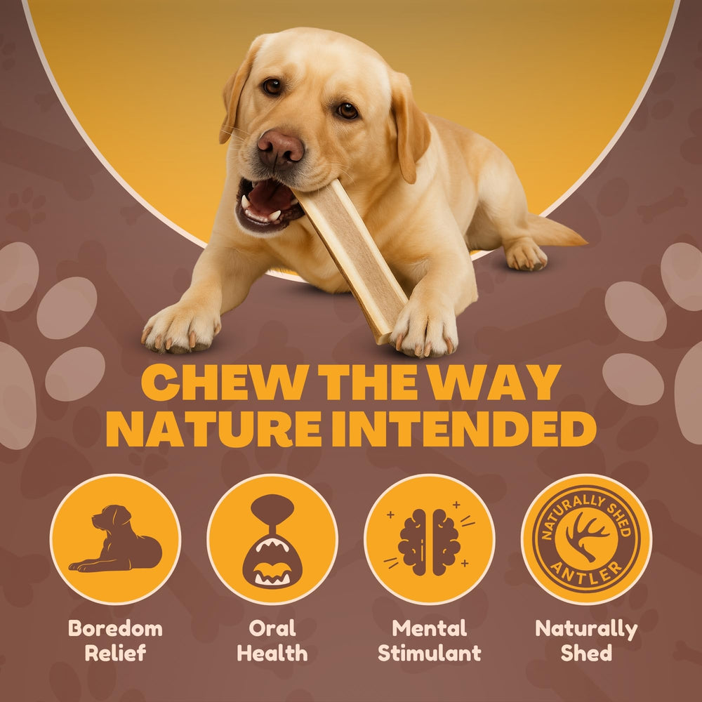 WhiteTail Naturals: durabilidad masticable ciervo, segunda vista para masticación continua.