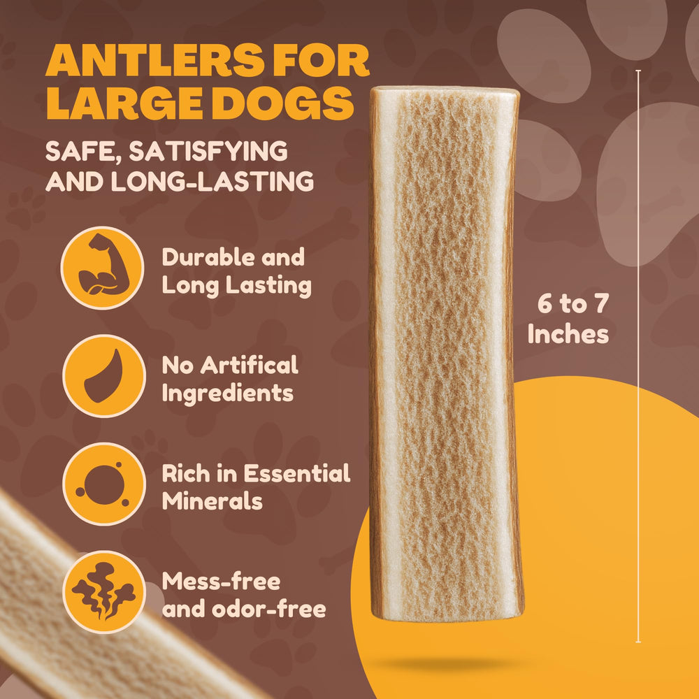 Masticables de alce para perros grandes de WhiteTail Naturals