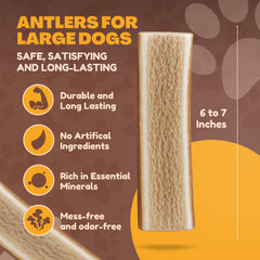 Masticables de alce para perros grandes de WhiteTail Naturals