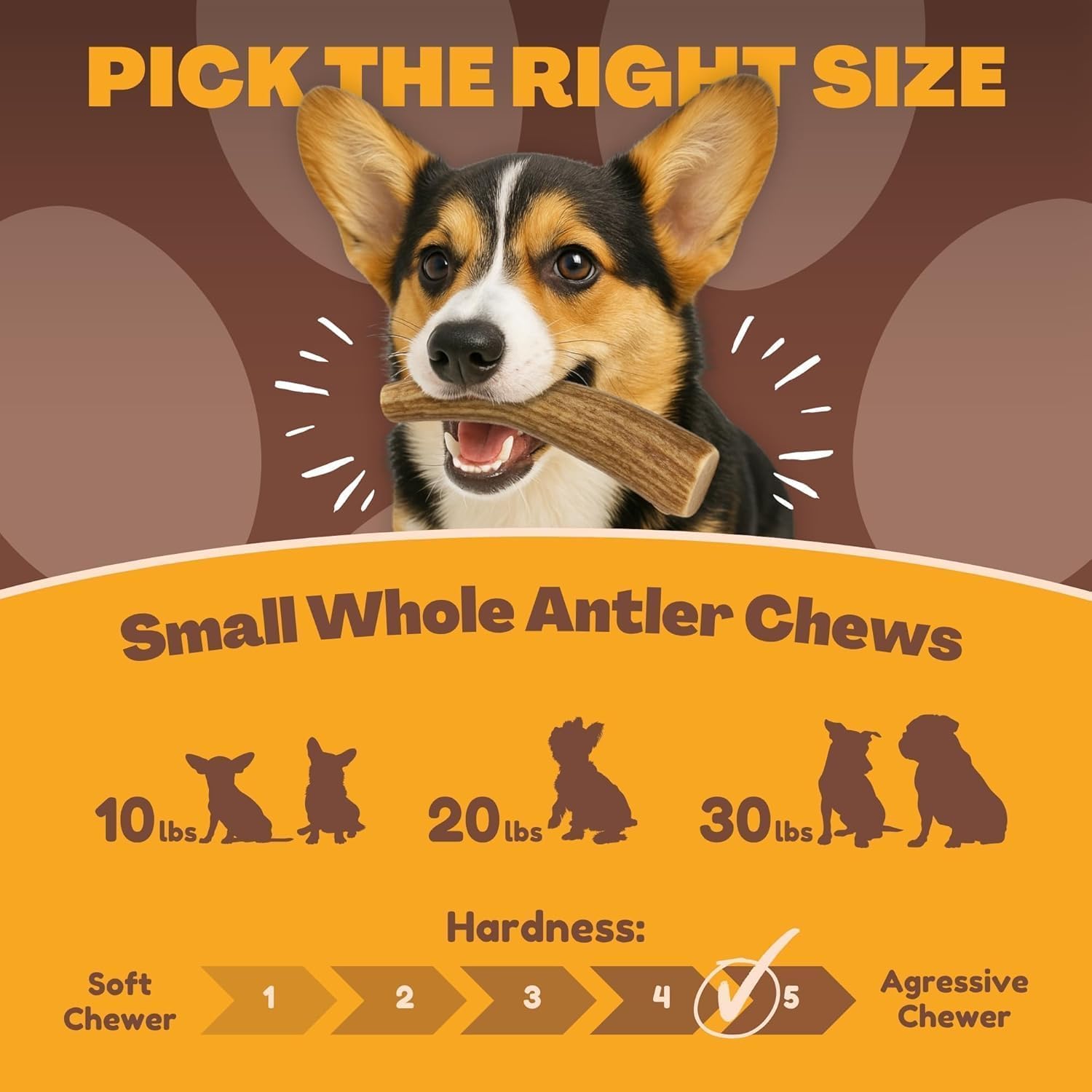 WhiteTail Naturals astas de ciervo naturales para perros pequeños, sin aditivos ni conservantes
