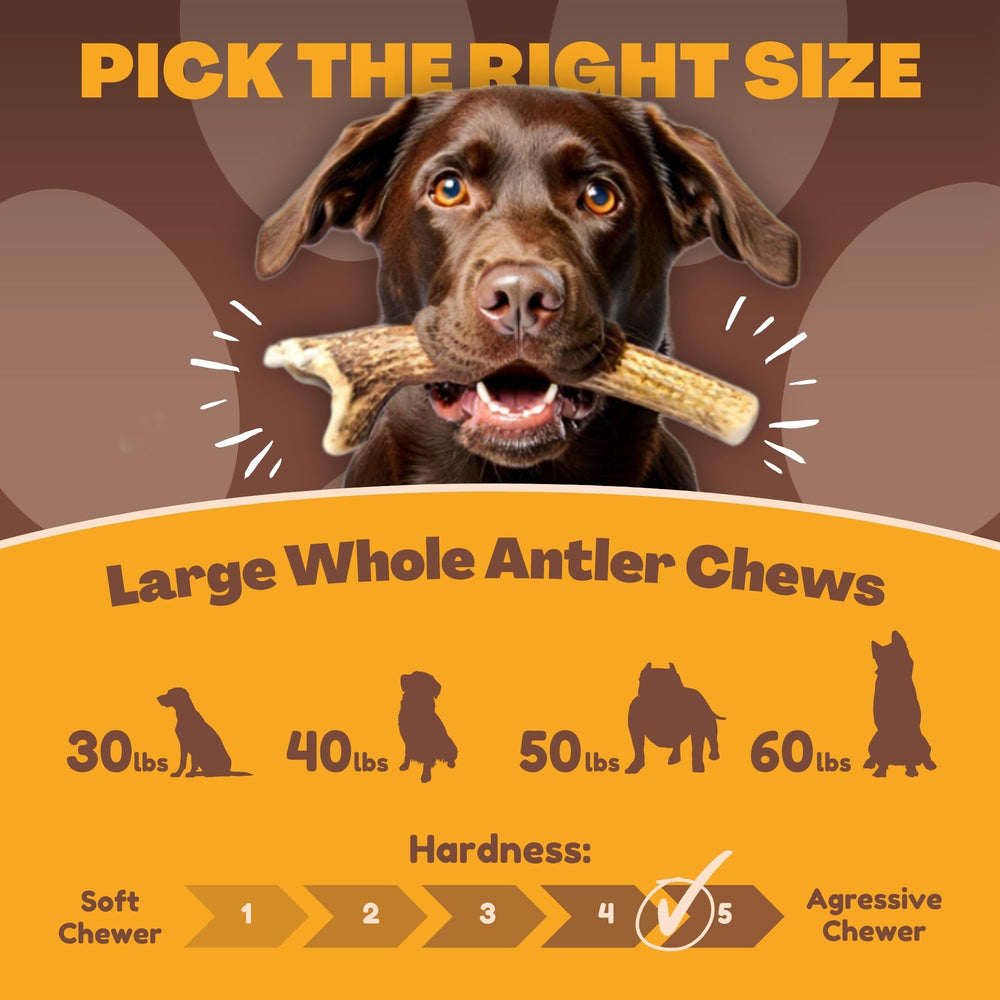 WhiteTail Naturals mordedor ciervo largo sin olor, diseño limpio para perros grandes.
