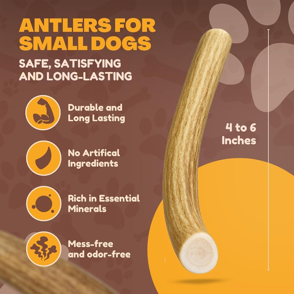 WhiteTail Naturals mordedor de ciervo para perros pequeños, sin olor y apto para interiores
