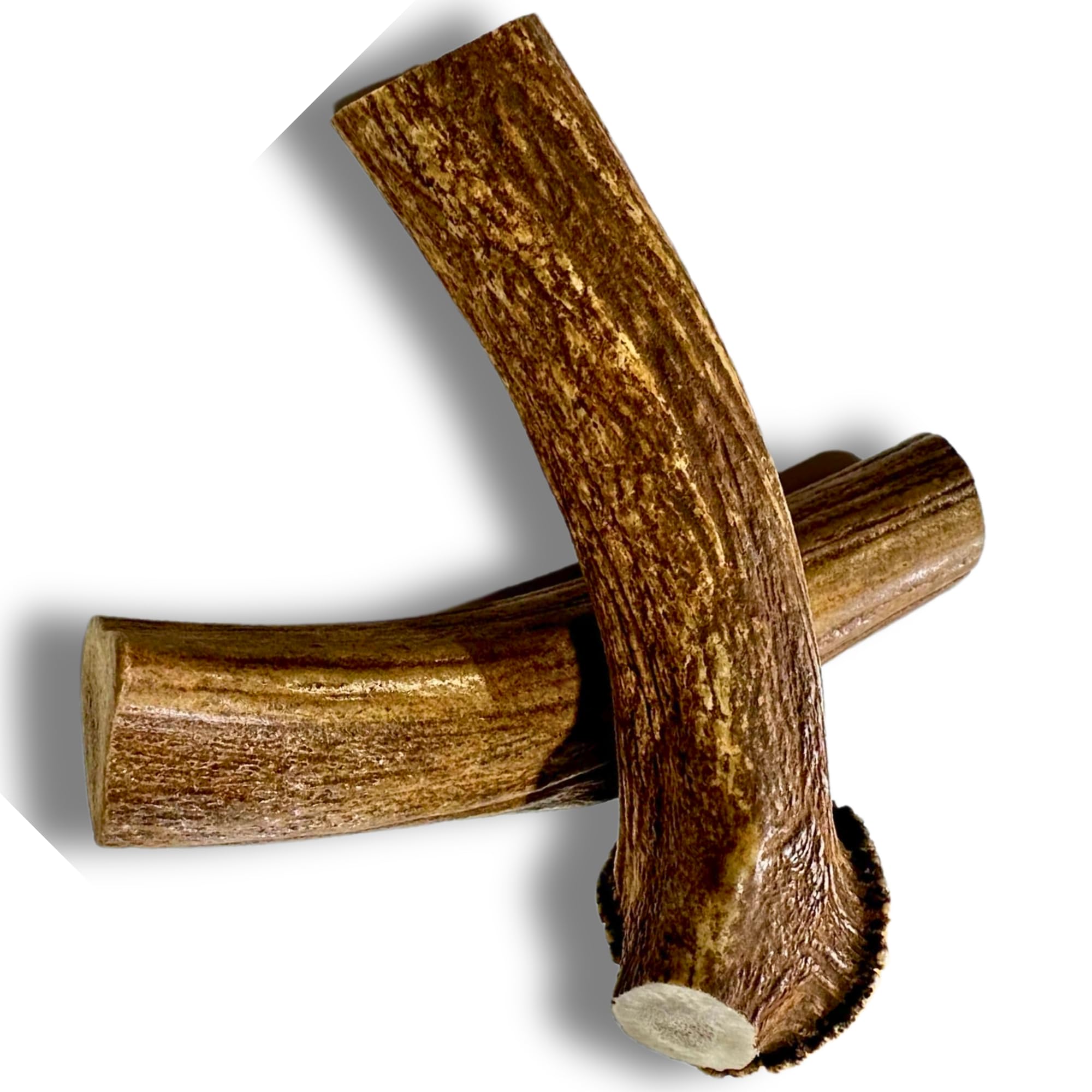 WhiteTail Naturals mordedor de cuernos de ciervo XL, masticación duradera para perros grandes.