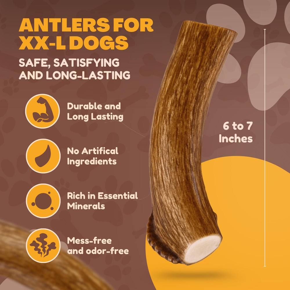 WhiteTail Naturals mordedor natural para dientes de ciervo XL.