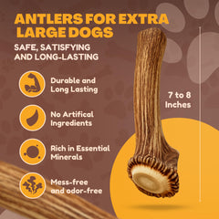 WhiteTail Naturals Mordedor natural para perro grande, opción segura para masticar