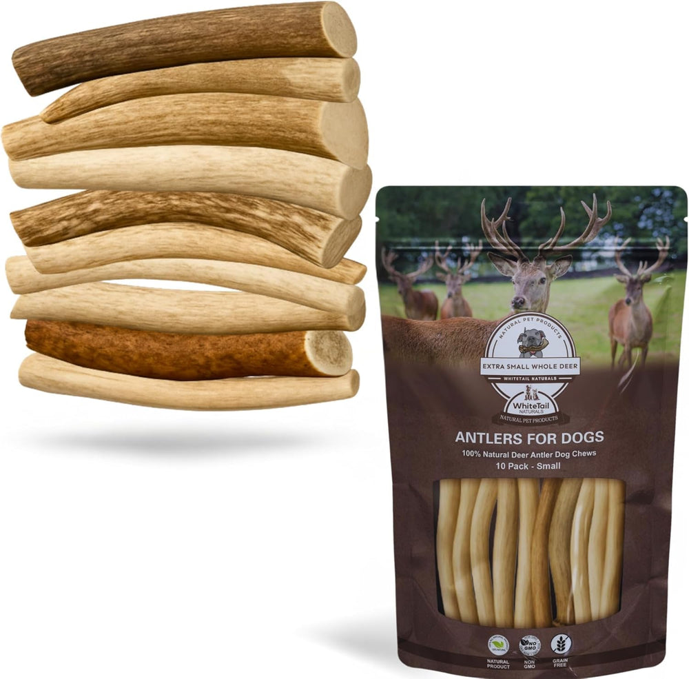 WhiteTail Naturals mordedores de asta de ciervo para perros pequeños, perfectos para morder y entretener
