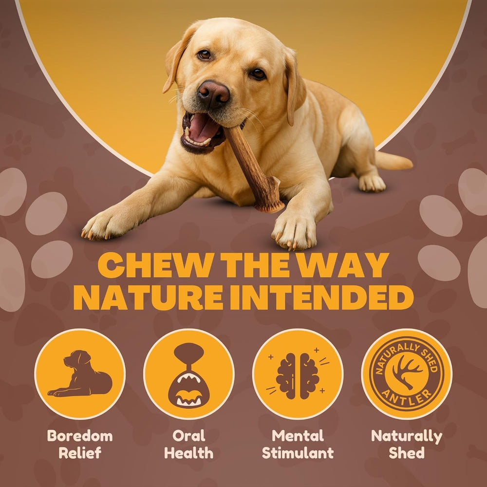 WhiteTail Naturals paquete de cuernos de ciervo para perros grandes, opción natural.