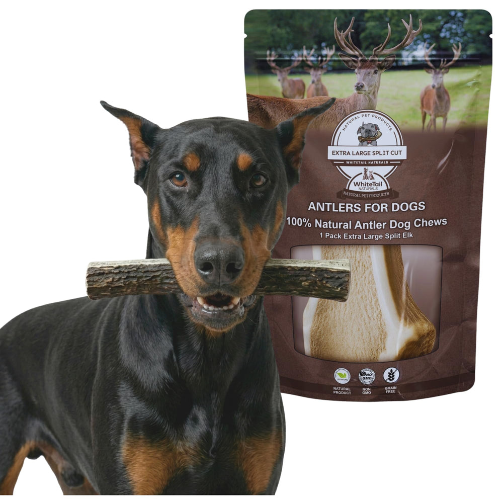 WhiteTail Naturals promueve salud dental con masticación natural para perros grandes.