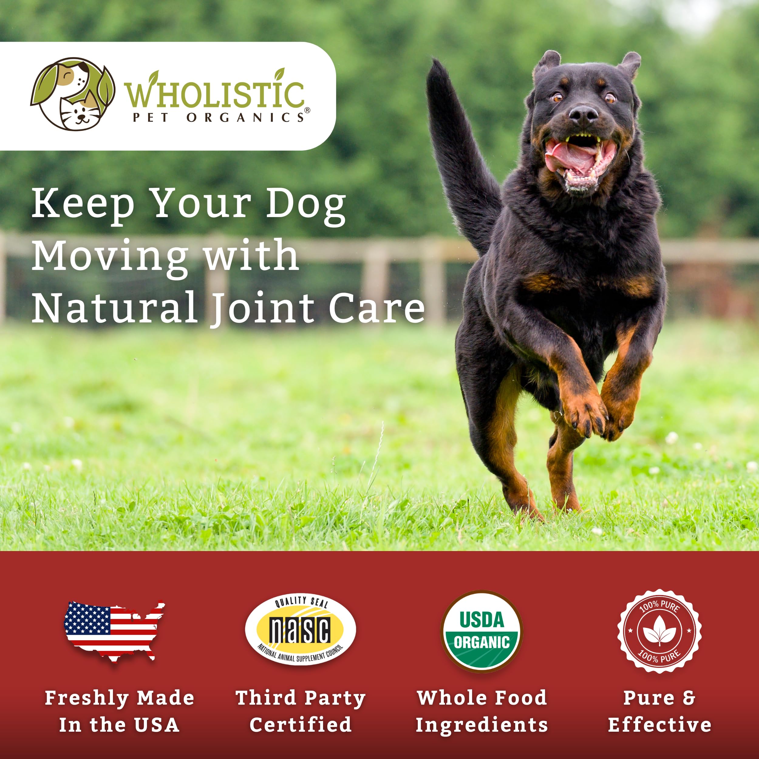 Wholistic Pet Organics, cuidado suave para mascotas senior con articulaciones saludables.