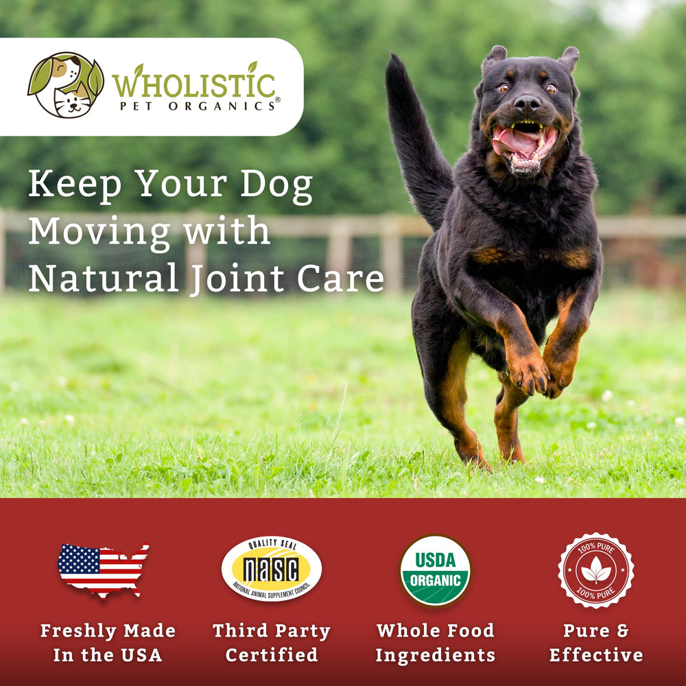 Wholistic Pet Organics, cuidado suave para mascotas senior con articulaciones saludables.