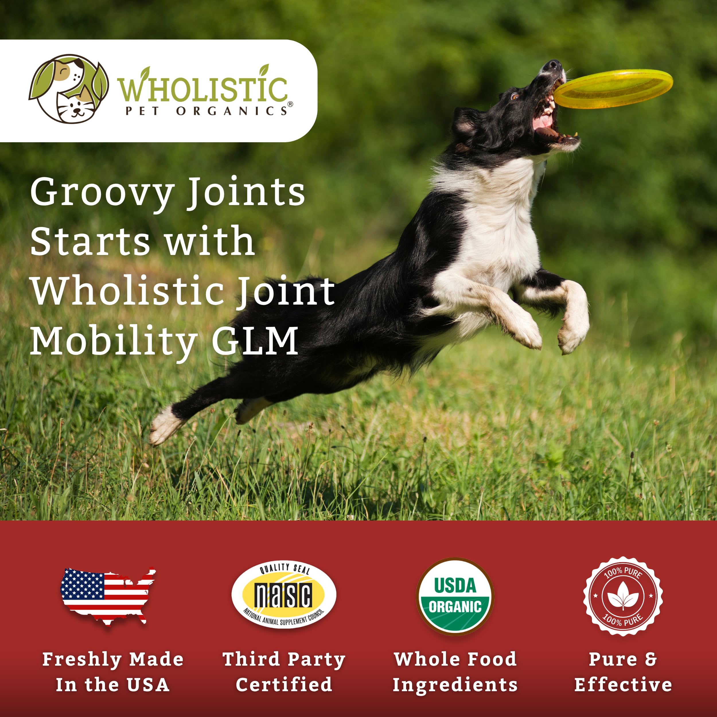 Wholistic Pet Organics dosis diaria recomendada para perros y gatos