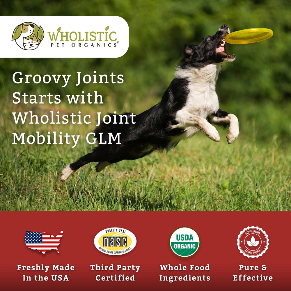 Wholistic Pet Organics dosis diaria recomendada para perros y gatos