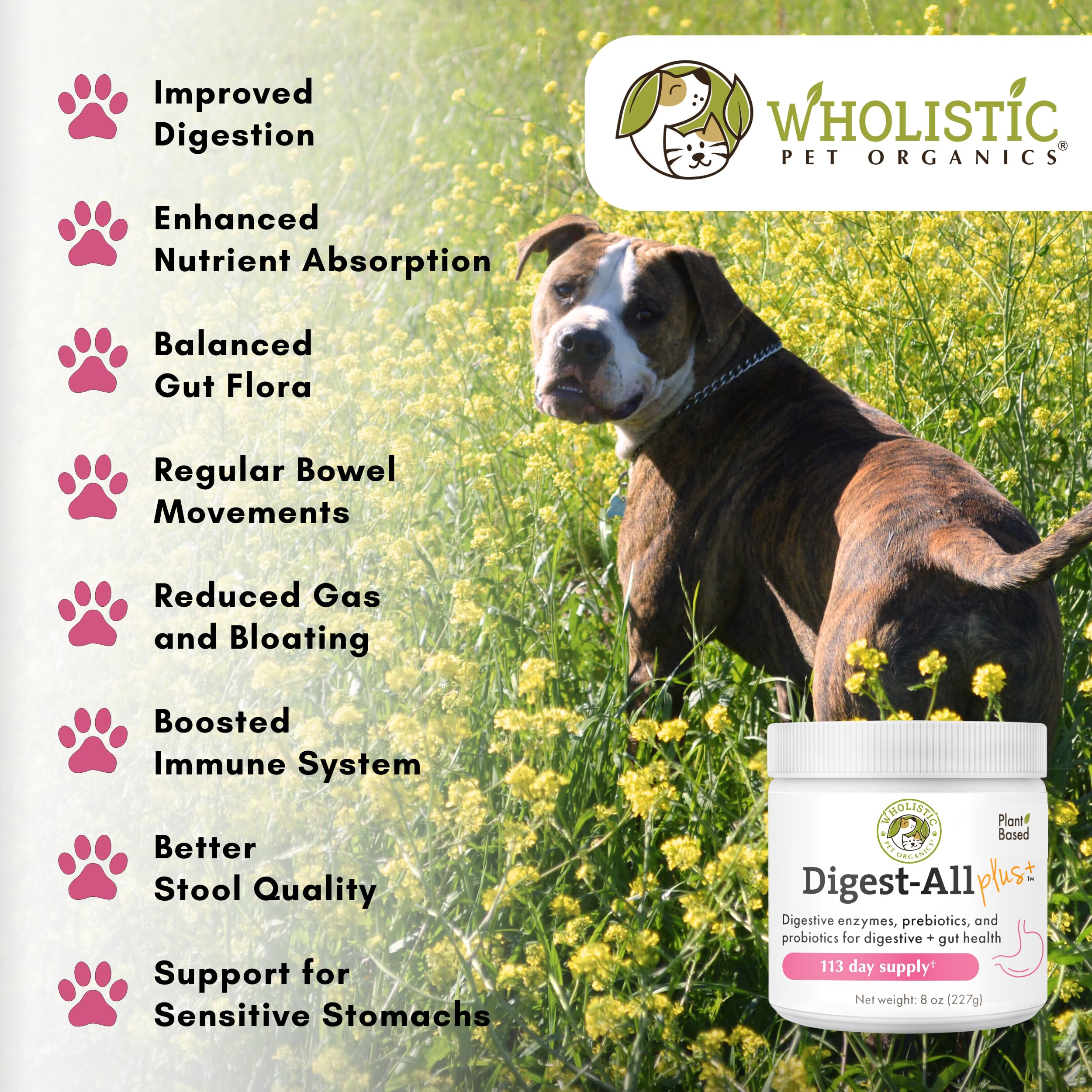 Probióticos para perros y gatos, equilibrio gastrointestinal