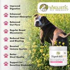 Probióticos para perros y gatos, equilibrio gastrointestinal