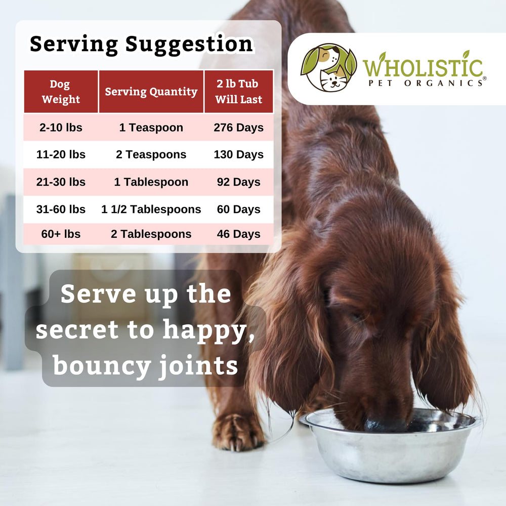 Wholistic Pet Organics fórmula natural con ingredientes clave para mascotas de todas las tallas