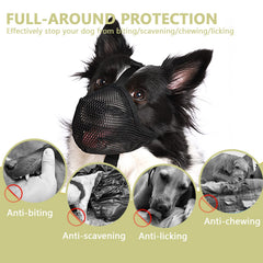 Whongkidz bozal lavable y duradero ideal para visitas al veterinario.