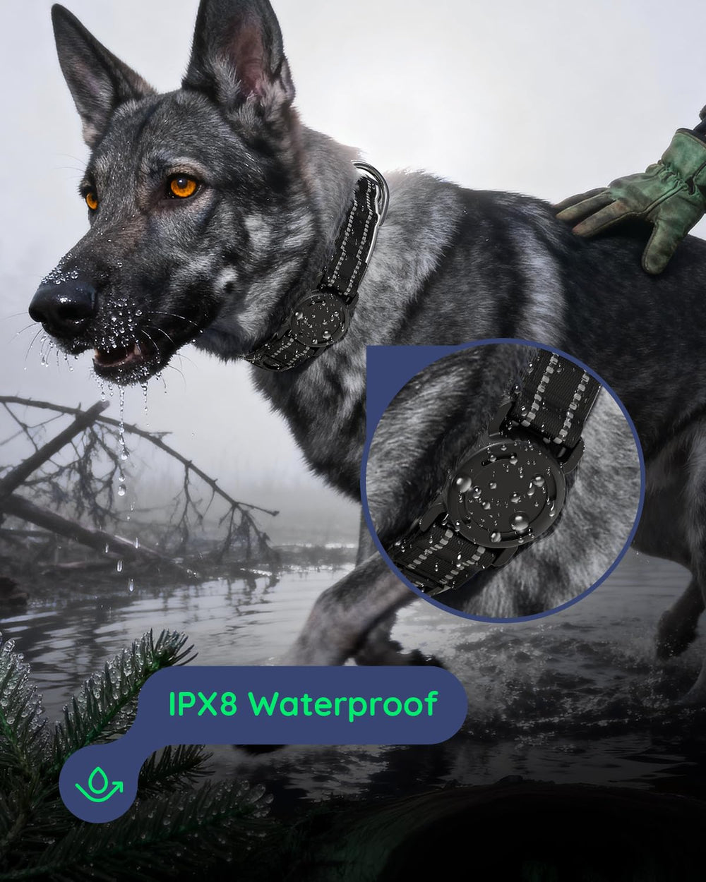 WhoseID AirTag collar con proteccion IPX8 para uso fuera de casa