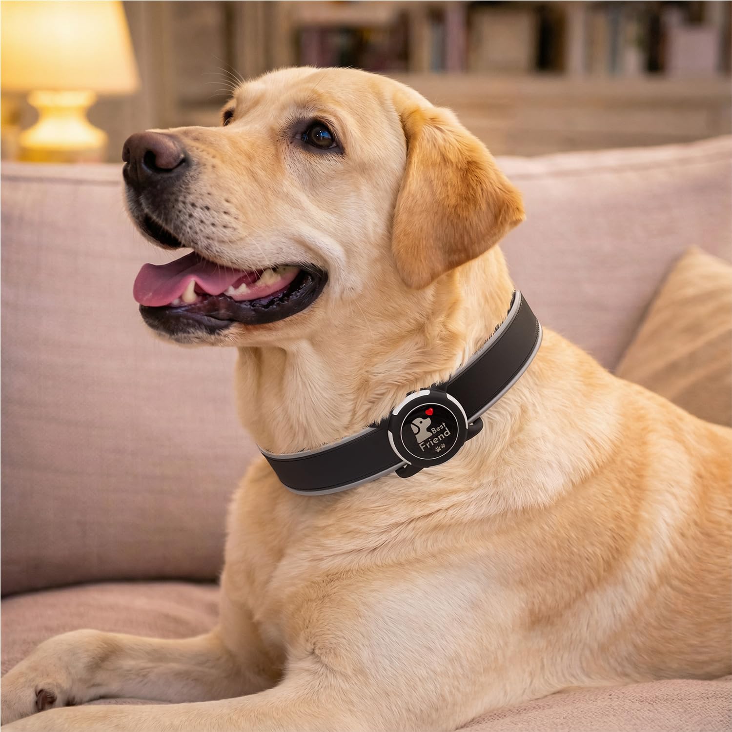 WhoseID funda AirTag con mensaje 'Best Friend' en el collar.