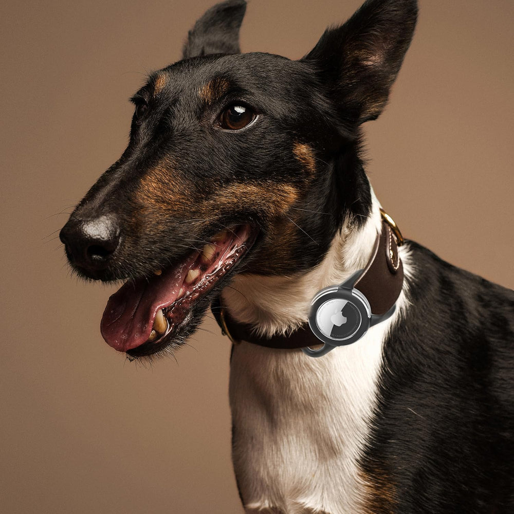 Fácil montaje en collar y rastreo fiable con WhoseID AirTag.