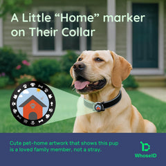 WhoseID AirTag para collar de perro: diseño de doble lazo seguro.