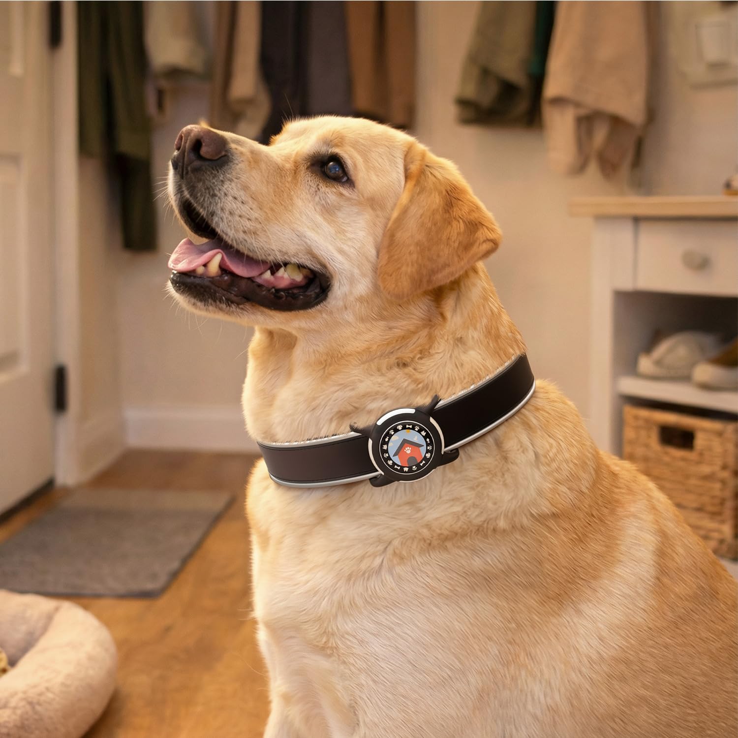 WhoseID AirTag para collar de perro: protección contra polvo y agua en uso diario.