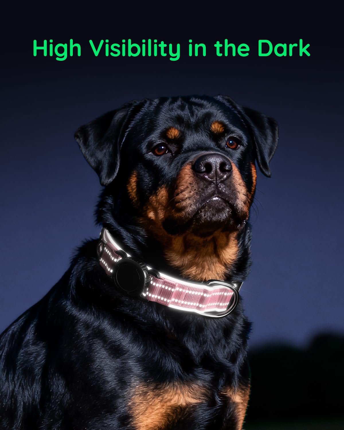 Collar WhoseID con anilla pequeña para etiquetas y adornos