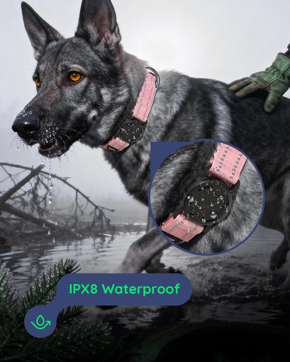 Collar WhoseID con reflectores laterales para mayor visibilidad nocturna