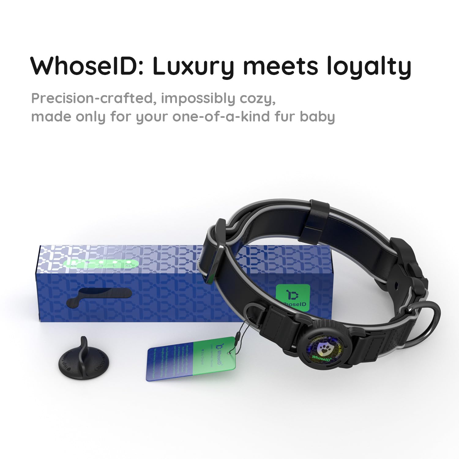 WhoseID collar con visibilidad 360°, preparado para caminatas vespertinas