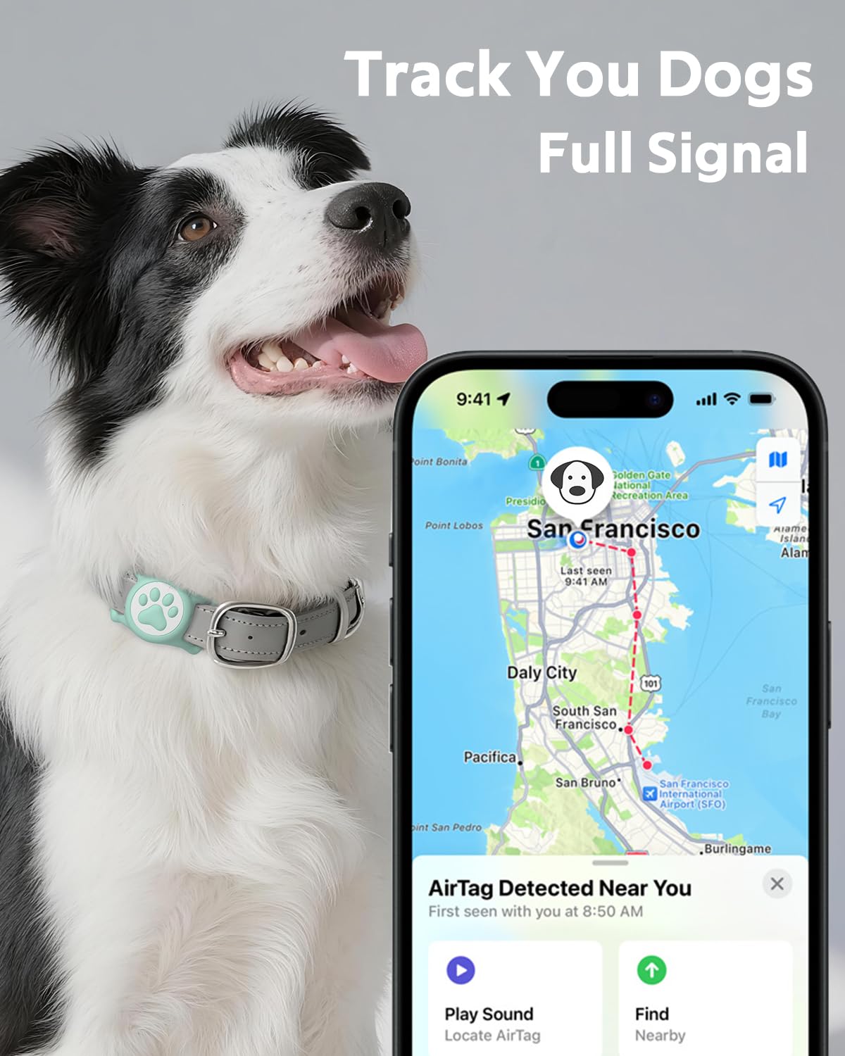 WhoseID instalación rápida AirTag en collar en menos de un minuto.
