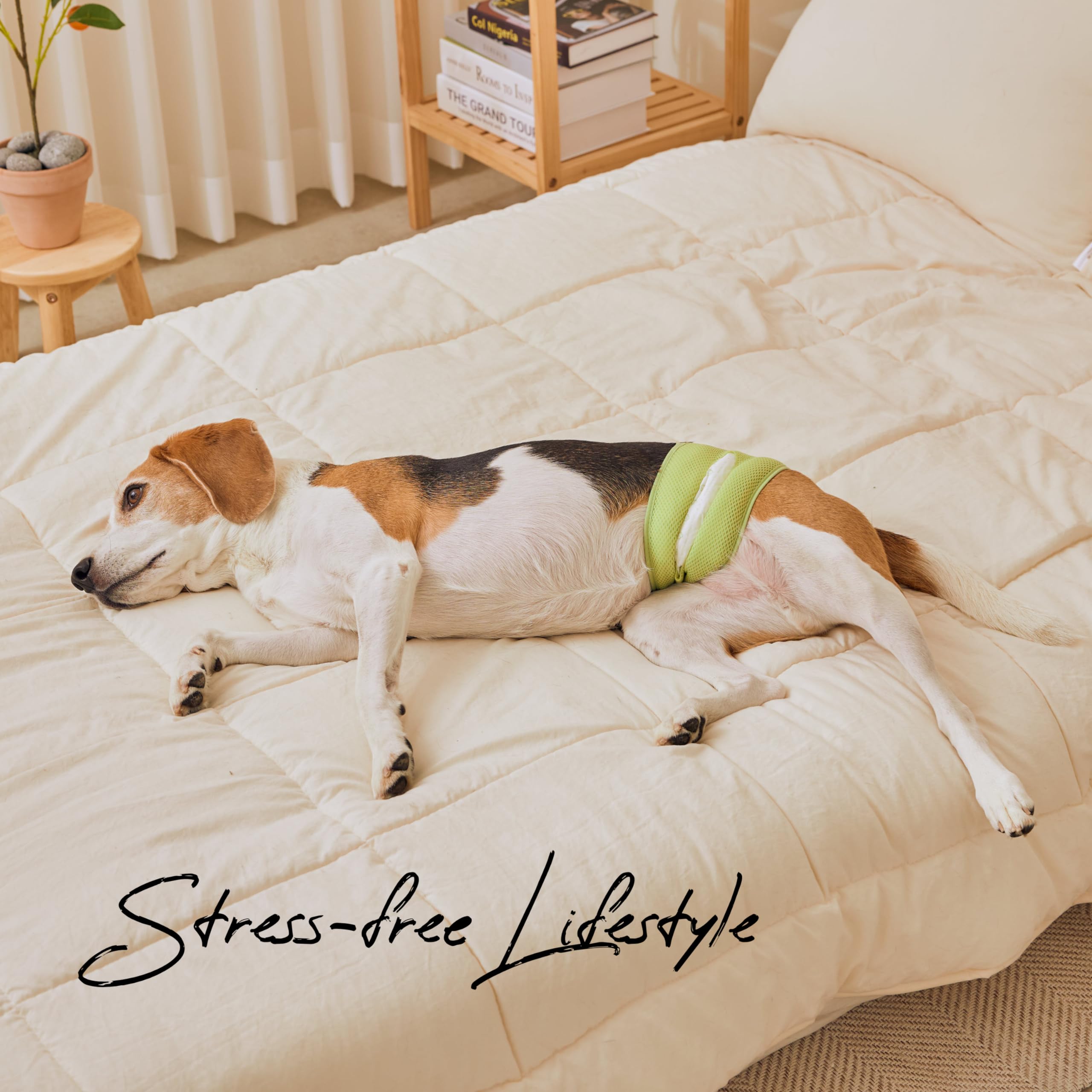 WICKEDPUP 50 almohadillas desechables reducen residuos y costos.